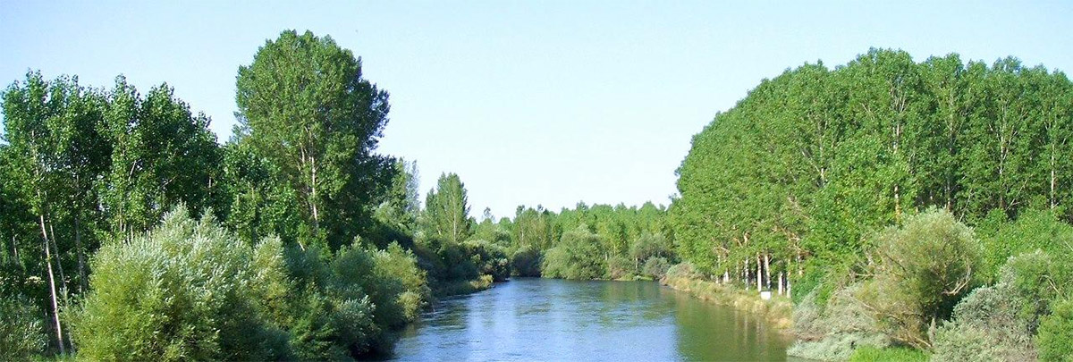 esla